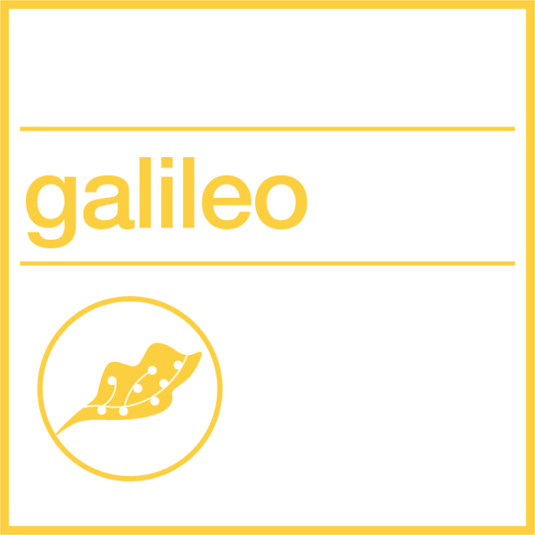 Galileo Festival - Quota di partecipazione (opzione 2)